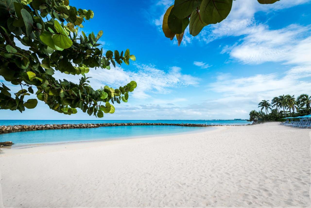 ג'ורג' טאון Margaritaville Beach Resort Grand Cayman מראה חיצוני תמונה